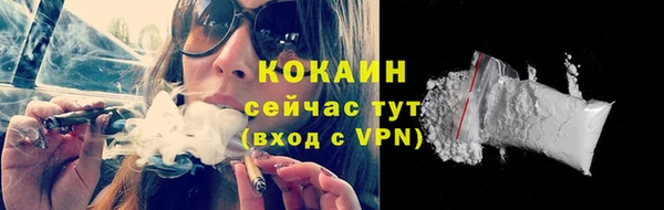 шишки Бугульма