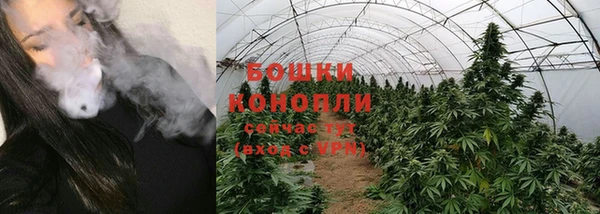 шишки Бугульма