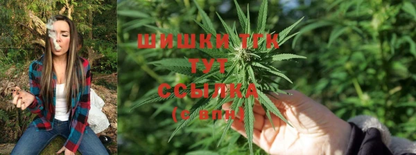 mix Бородино