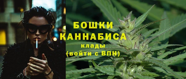 стафф Бронницы