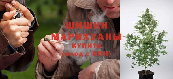 стафф Бронницы