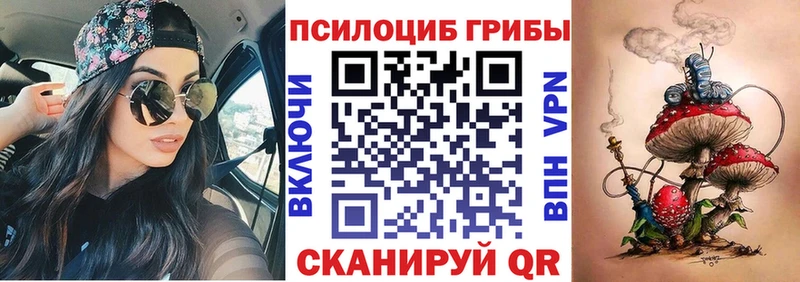 MEGA ссылки  Королёв  даркнет формула  Псилоцибиновые грибы MAGIC MUSHROOMS 